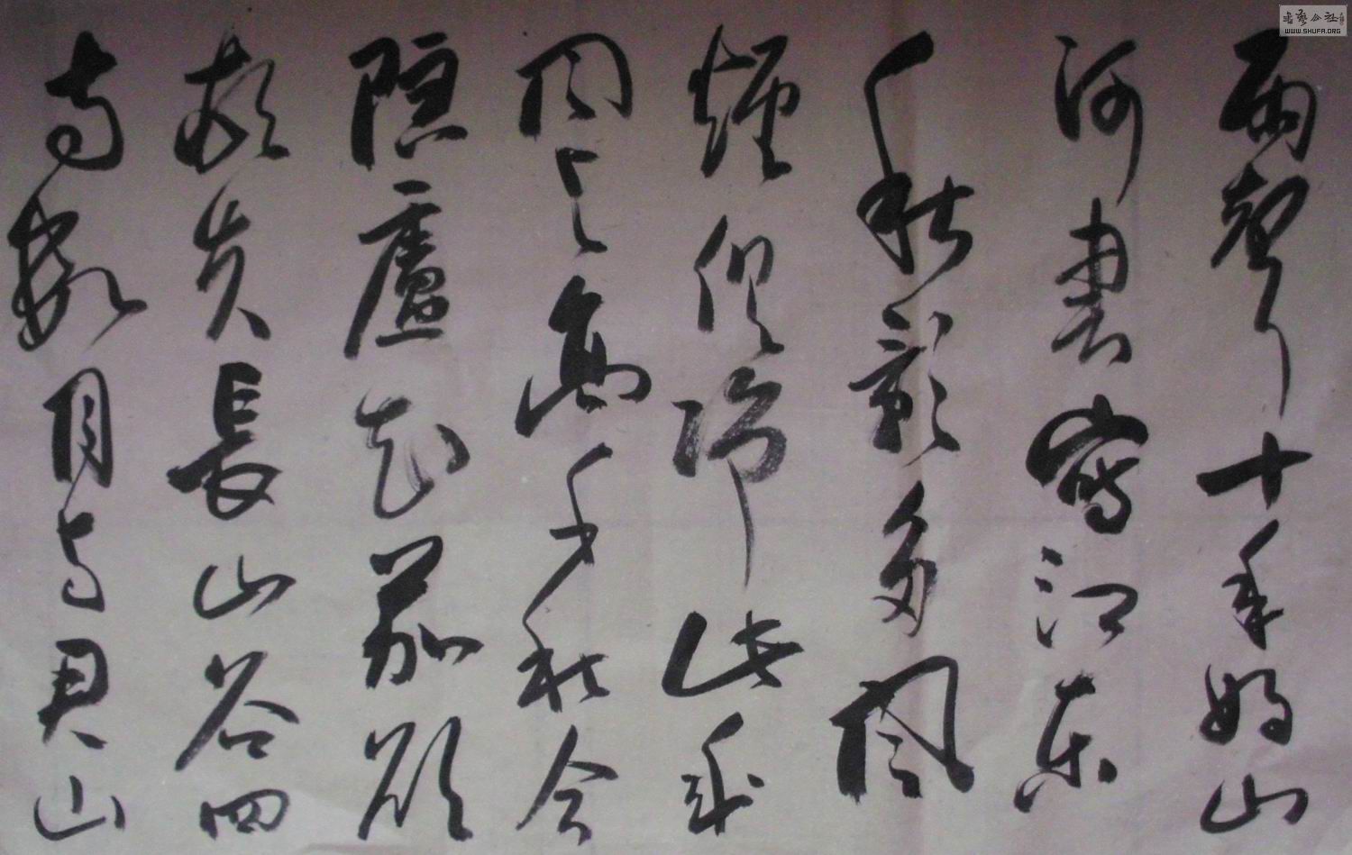 DSCI0868.jpg