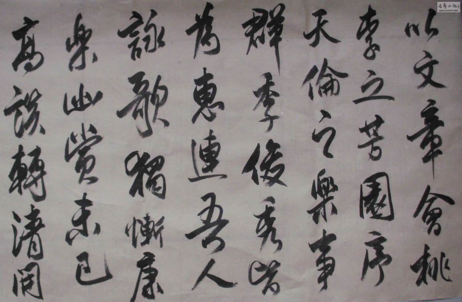 DSCI0887.jpg