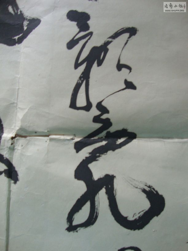DSC06002.JPG