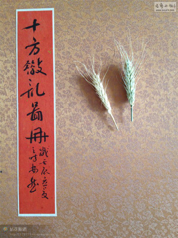 ѡ桷 (2).jpg