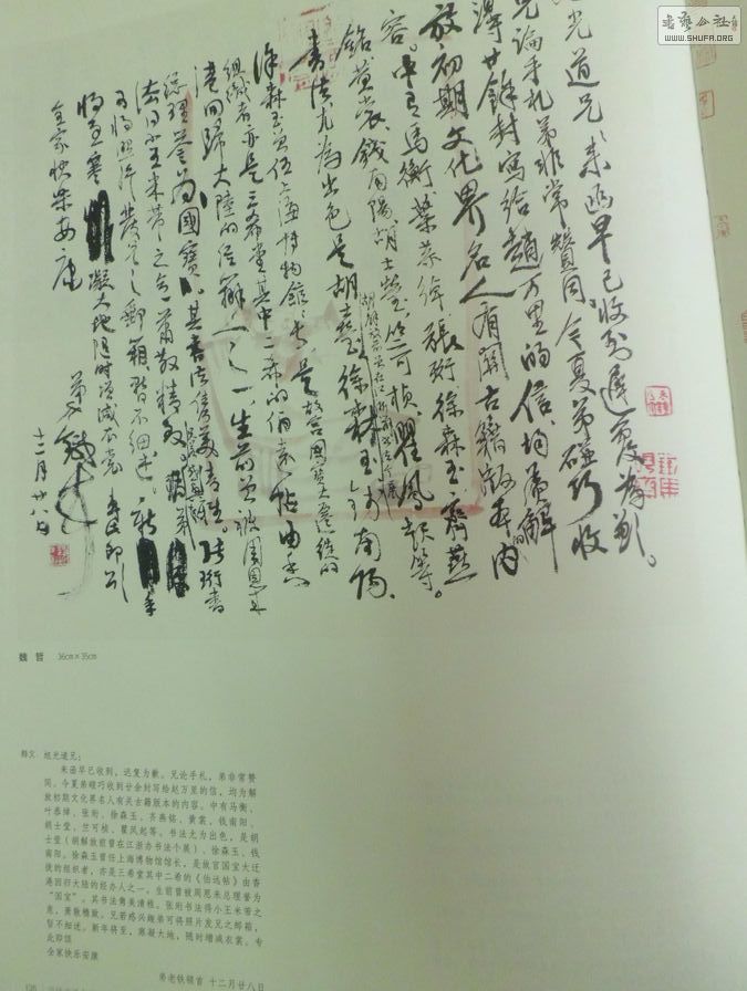 CIMG1973.jpg