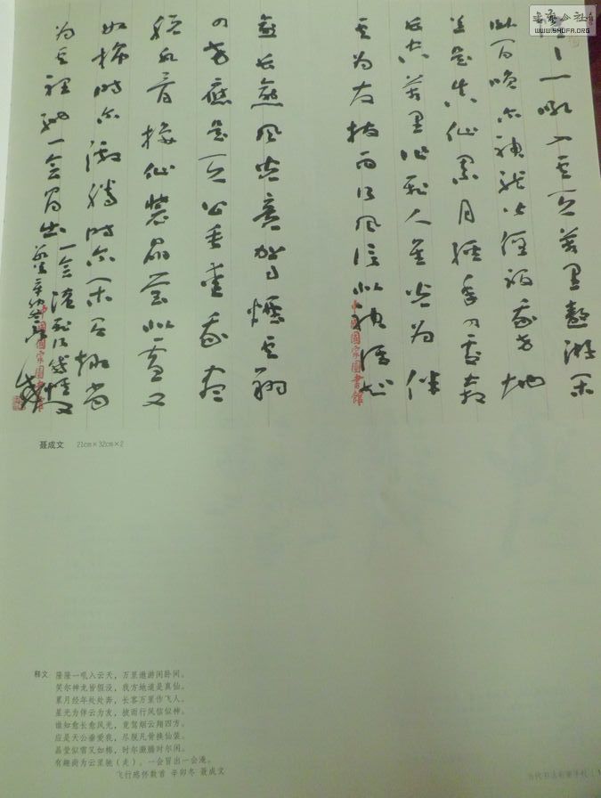CIMG1977.jpg