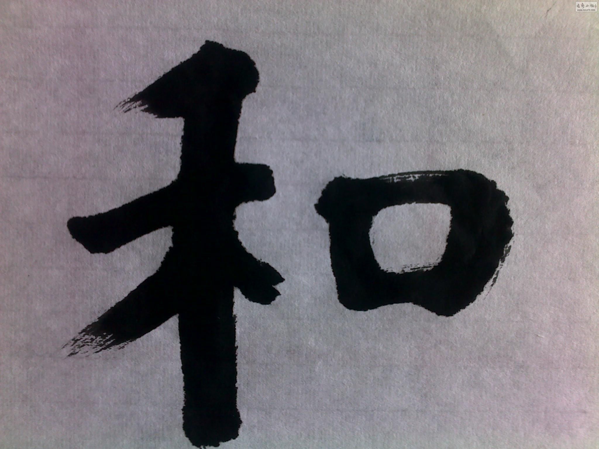 20120523284.jpg