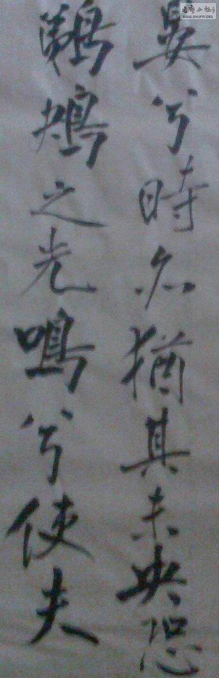 IMG03151419003.jpg