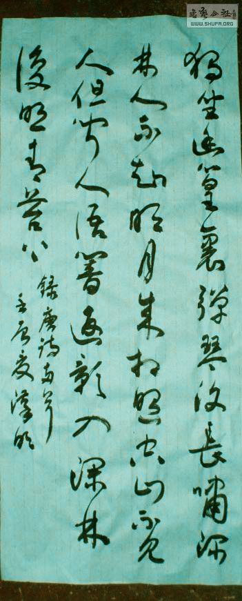 STP61640_.jpg