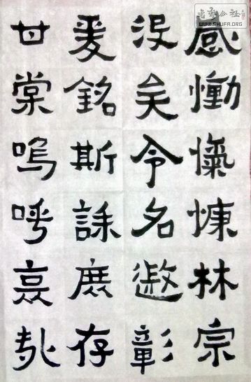 20120528313.jpg