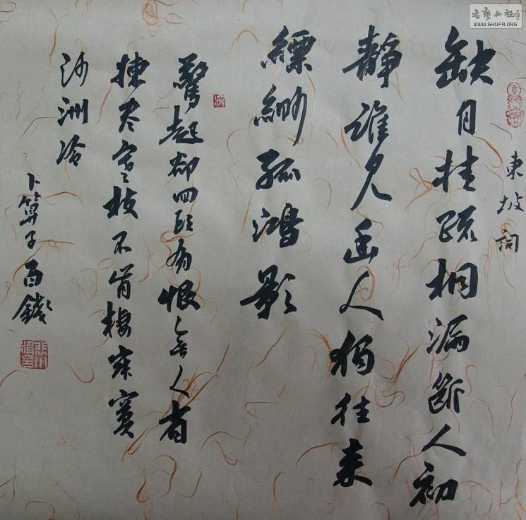 DSC01816_conew1.jpg