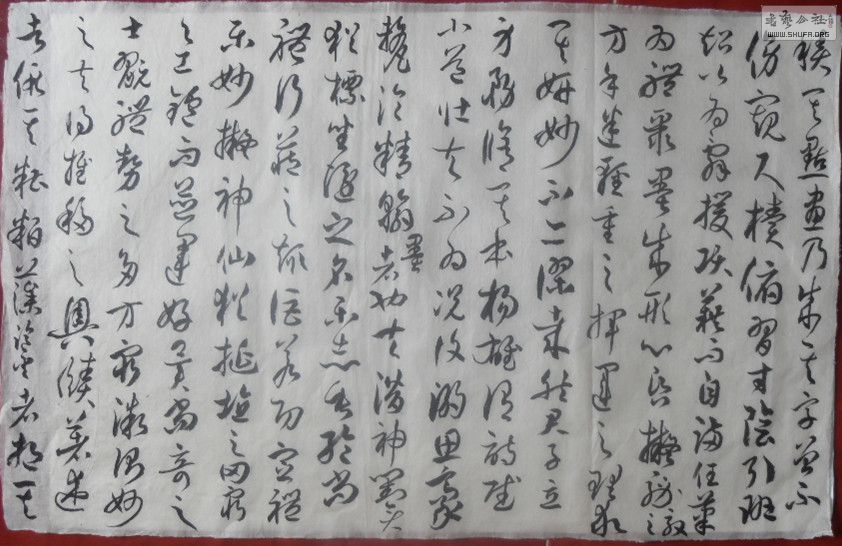 SDC15246.jpg