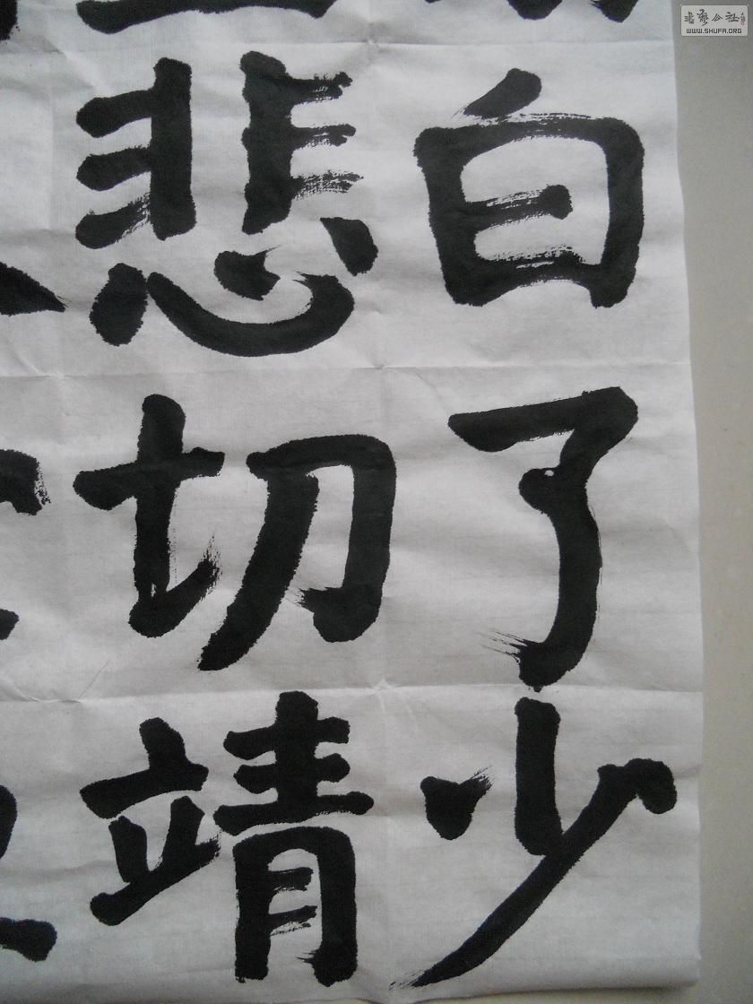 DSCN0809.jpg
