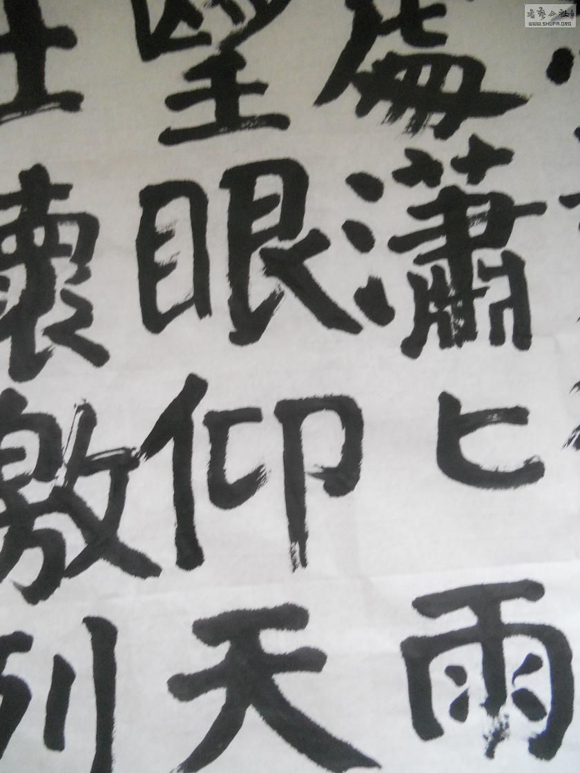 DSCN0800.jpg