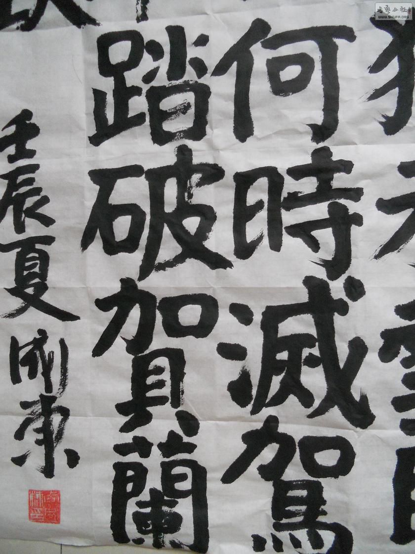 DSCN0806.jpg