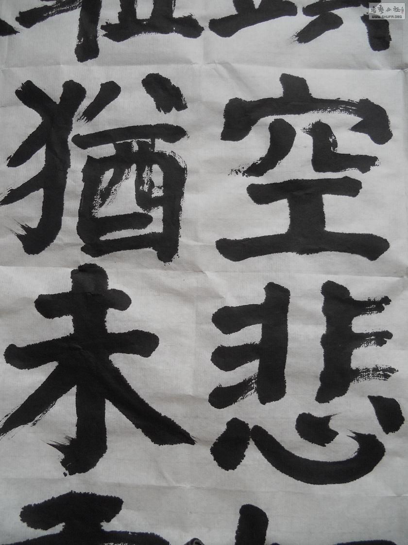 DSCN0807.jpg