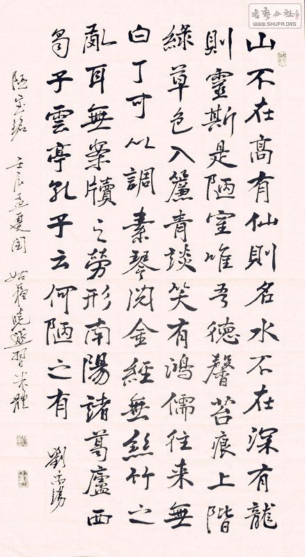 ɳ (3).jpg