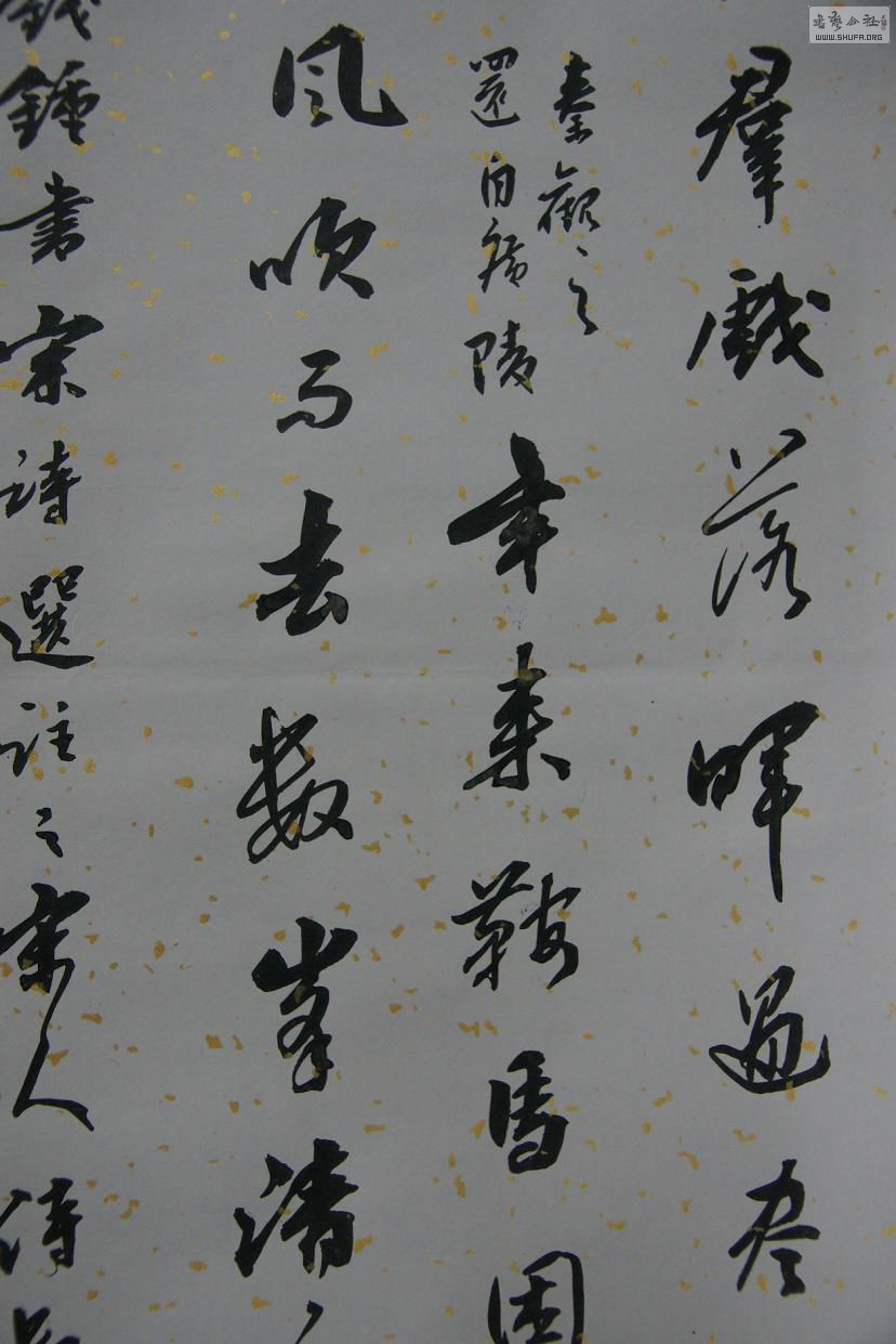 DSC02569.JPG