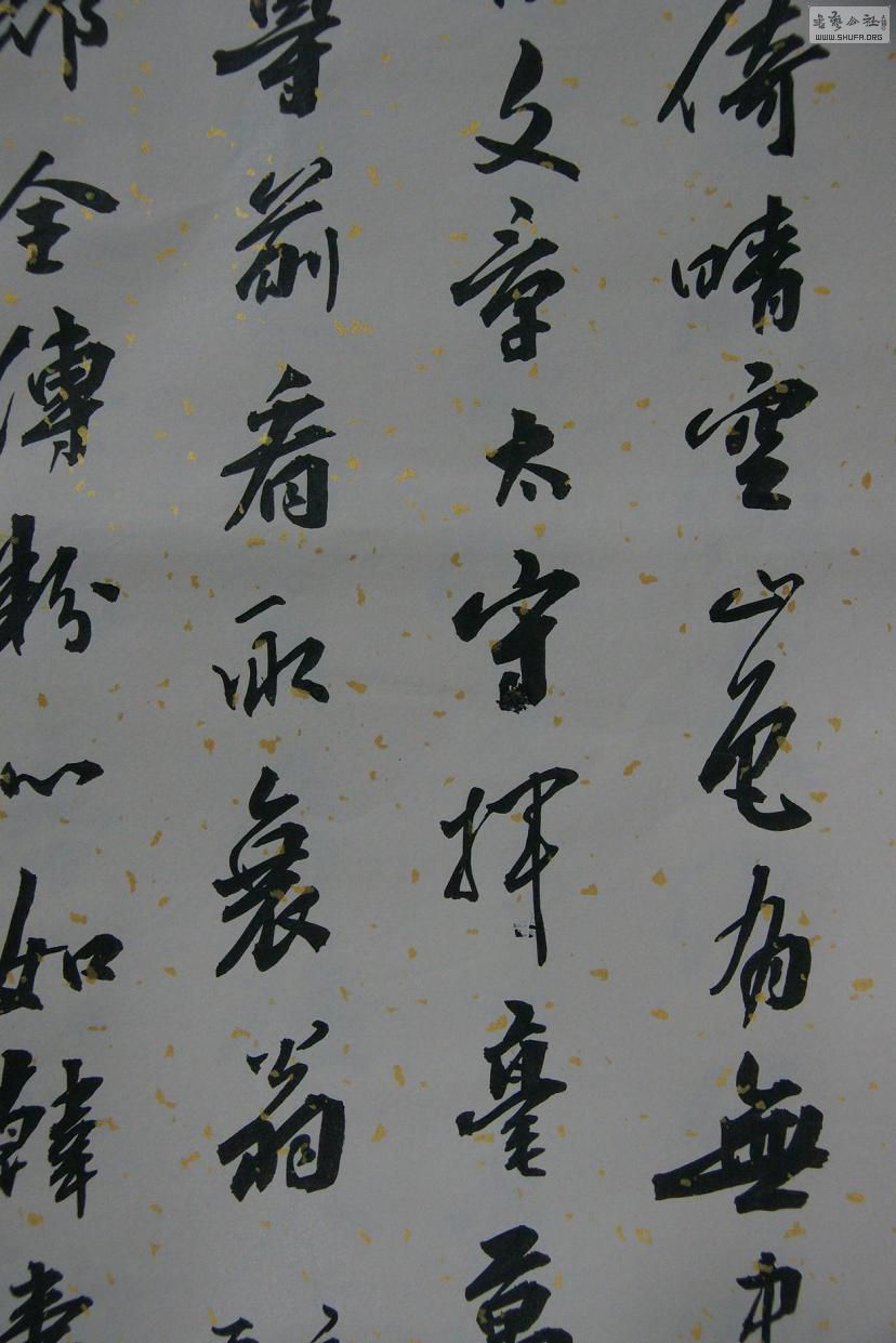 DSC02571.JPG