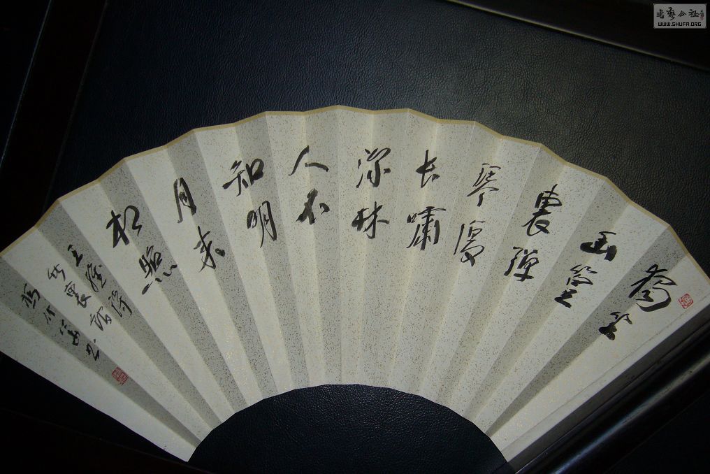 P1230017.JPG