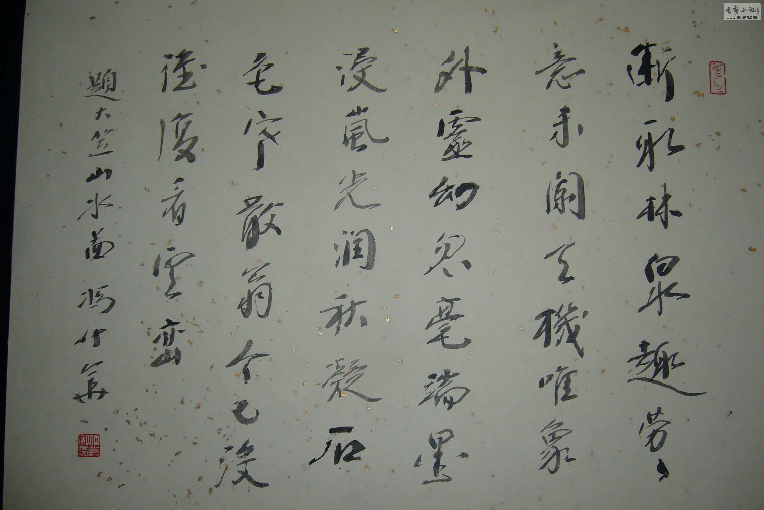 P1220983.JPG