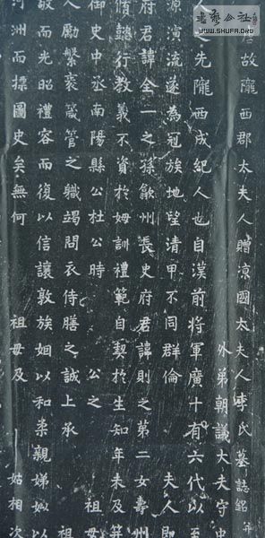 b07.JPG