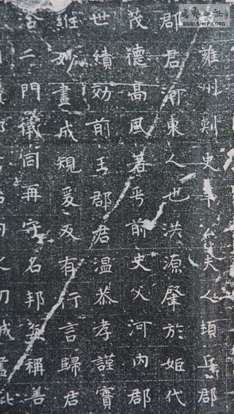 d07.JPG