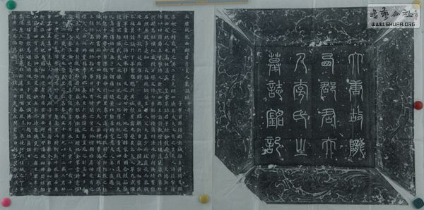 f01 .JPG