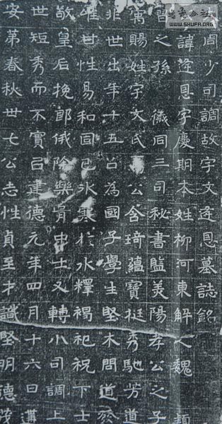 g04.JPG