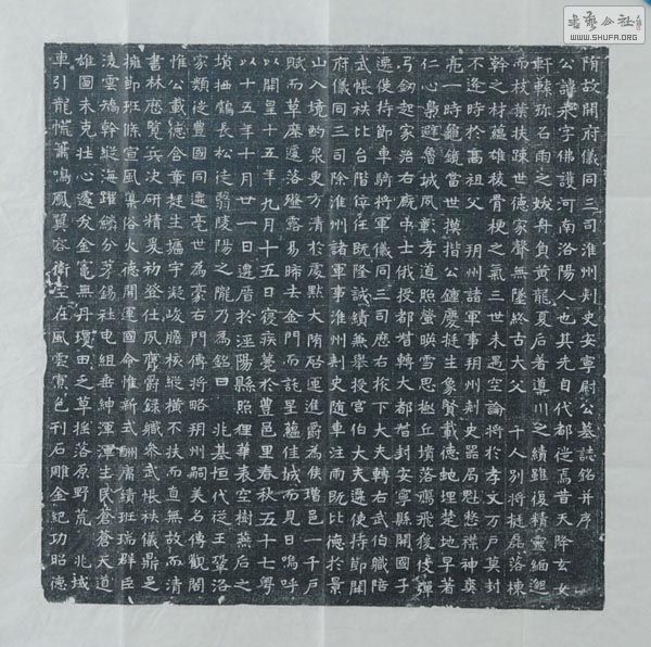 j01 .JPG