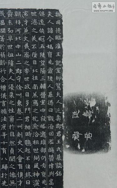 m04.JPG