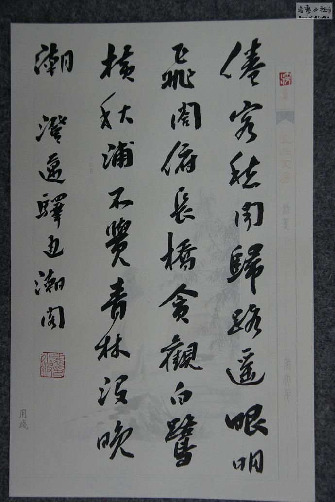 DSC02781.JPG