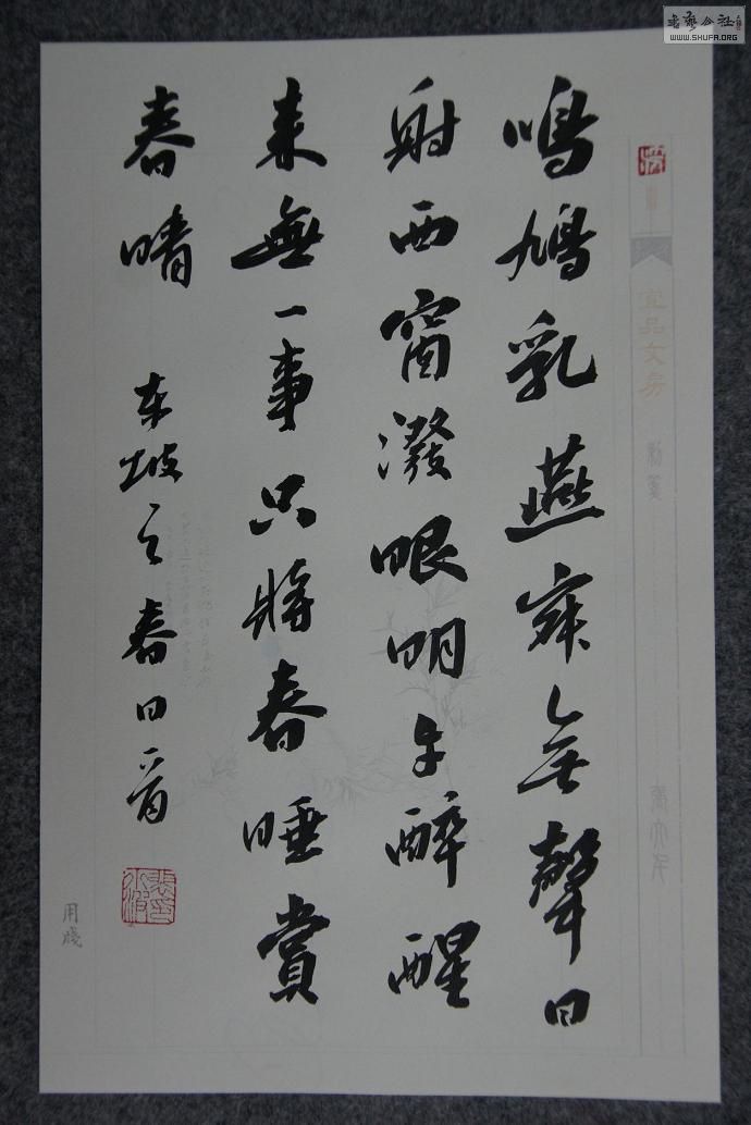 DSC02784.JPG