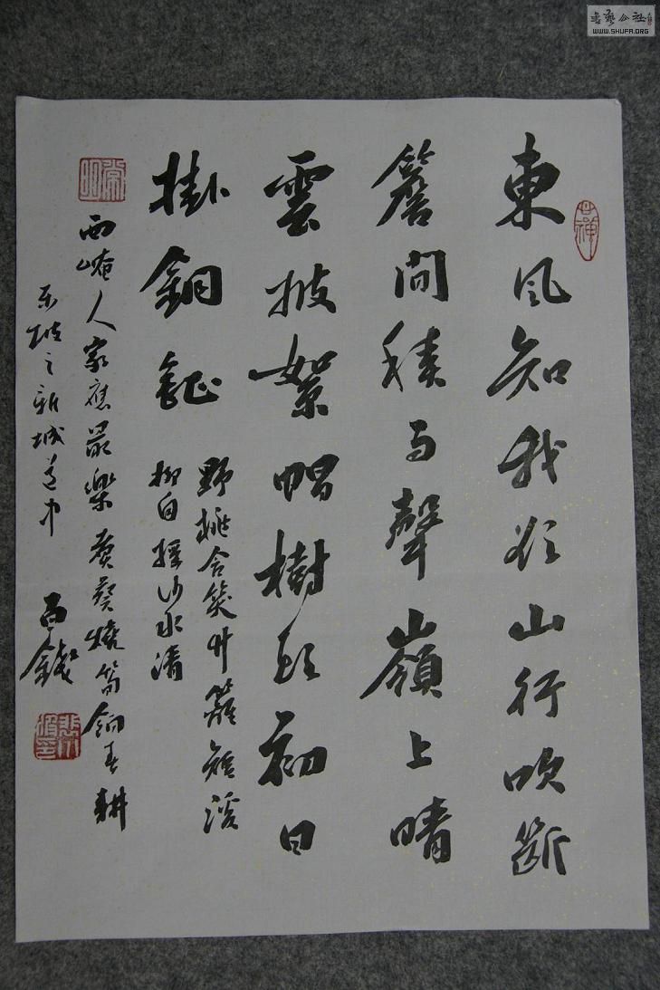 DSC02769.JPG