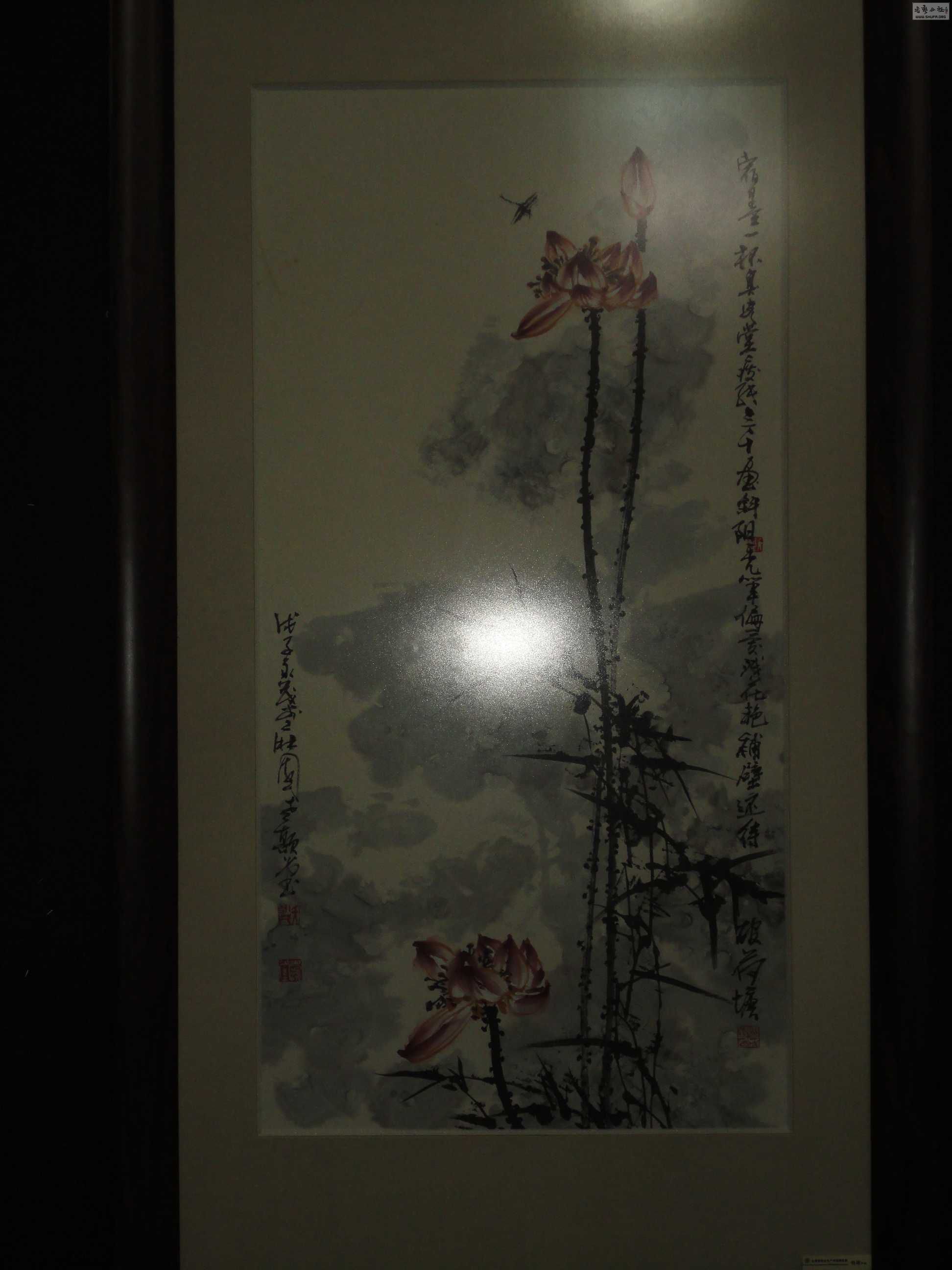 DSC04803.JPG