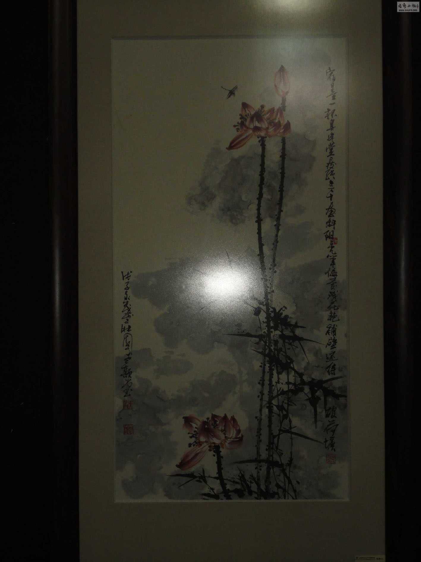 DSC04803.JPG