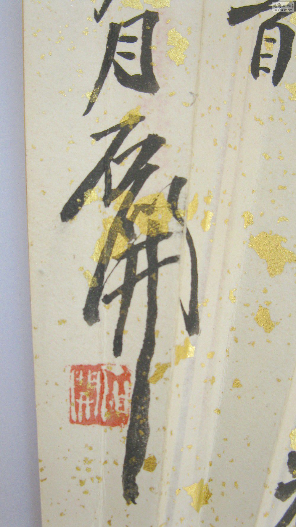 20120220_2b63699bde5756748e7517nMr1hmmo9g.jpg