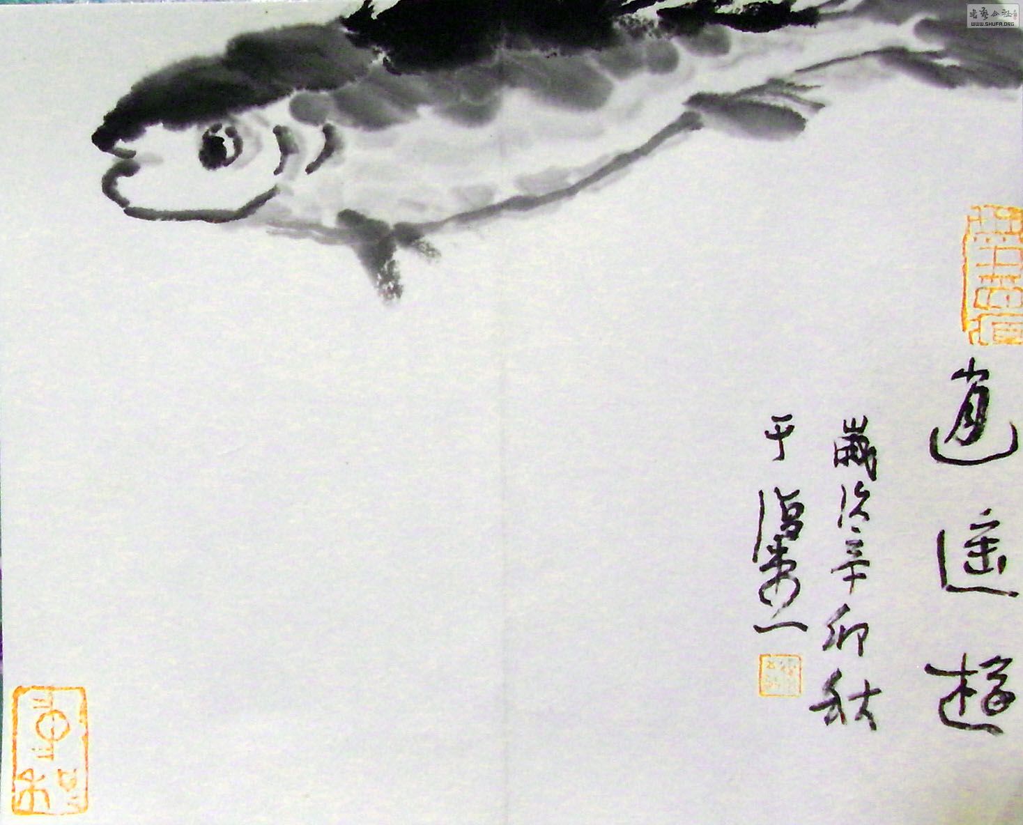 SDC10393.jpg