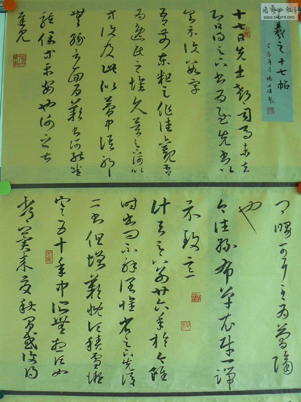 P1100659_.jpg