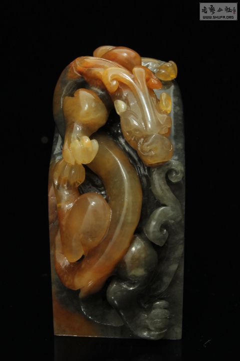 IMG-2 (9).JPG