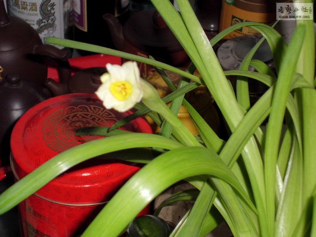 CIMG0024.JPG