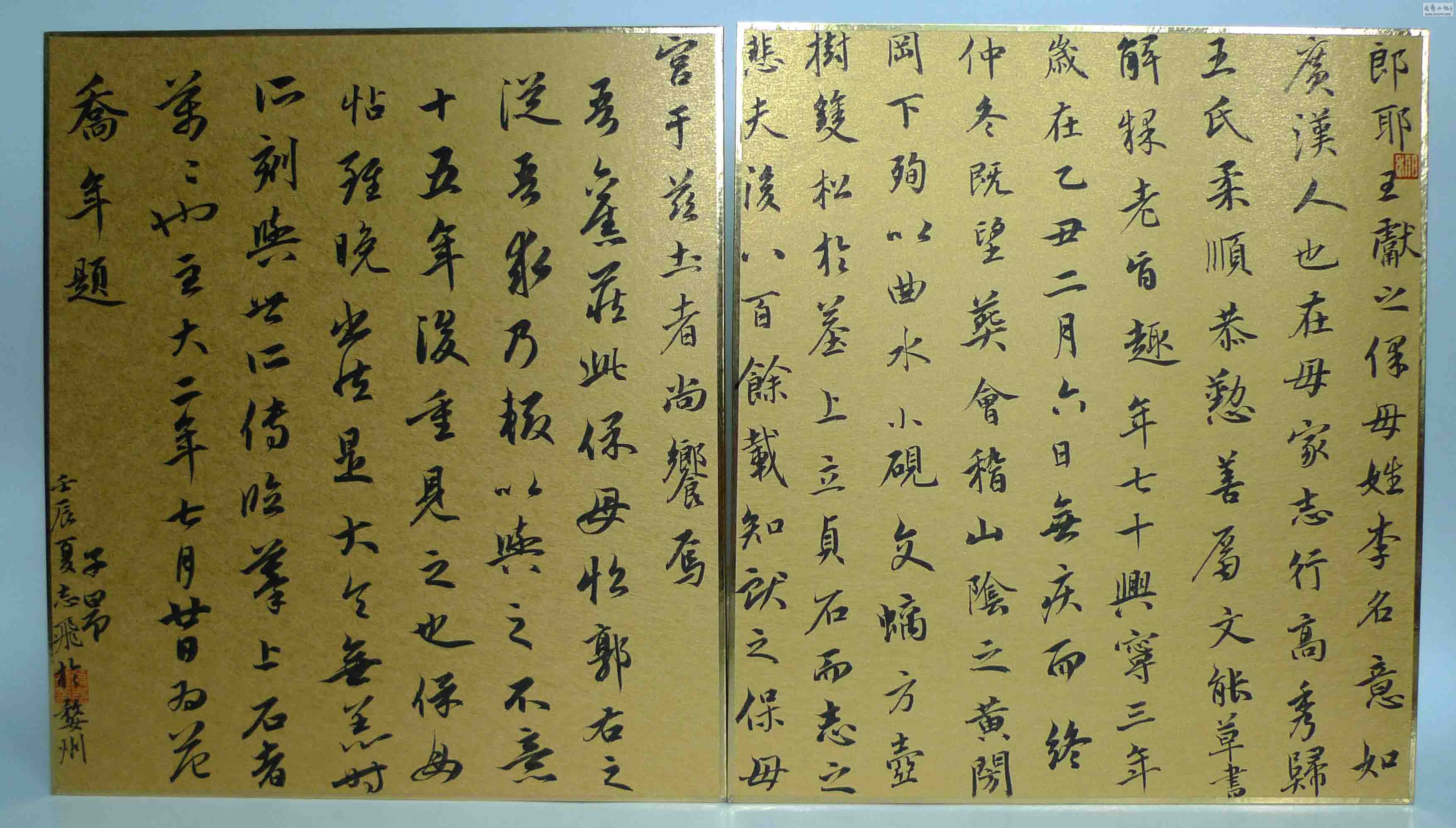 P1140423.JPG