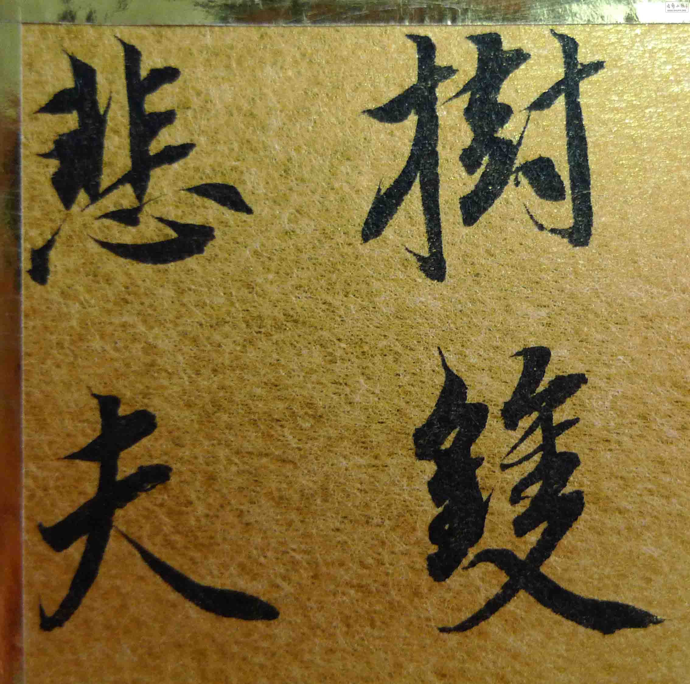 P1140433.JPG