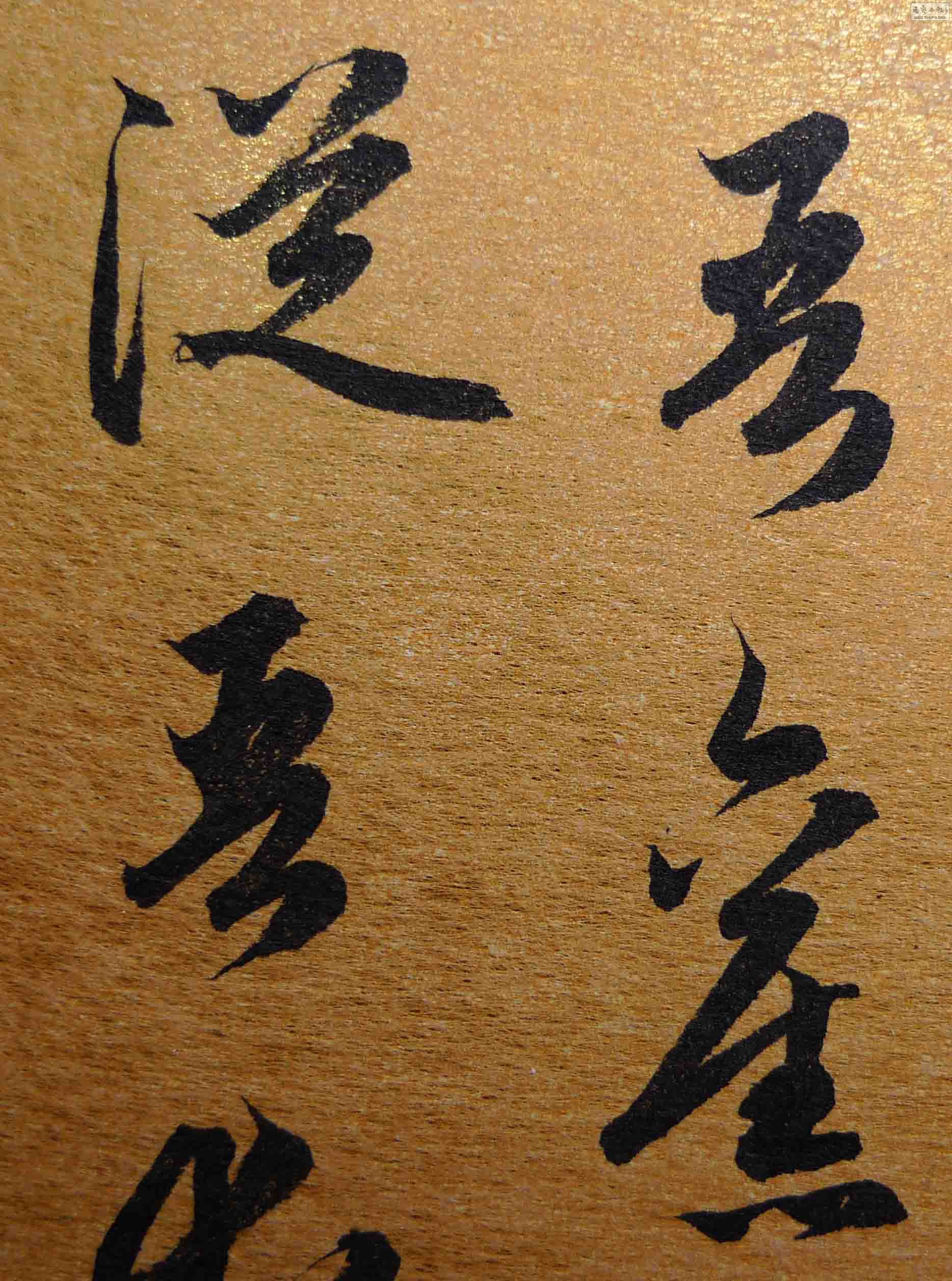 P1140444.JPG