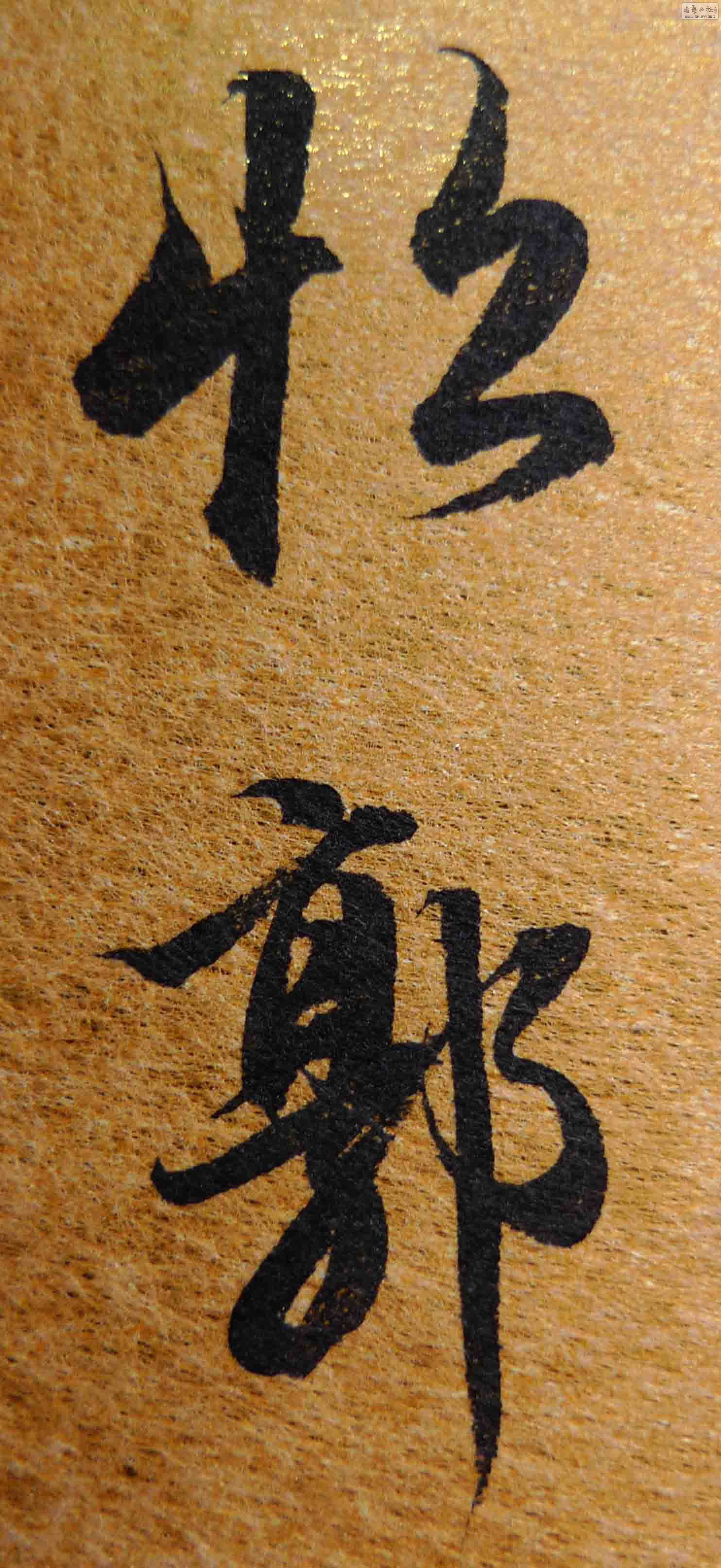 P1140445.JPG