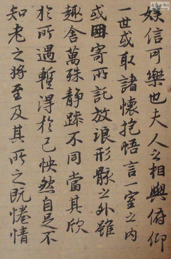 DSC07701.jpg