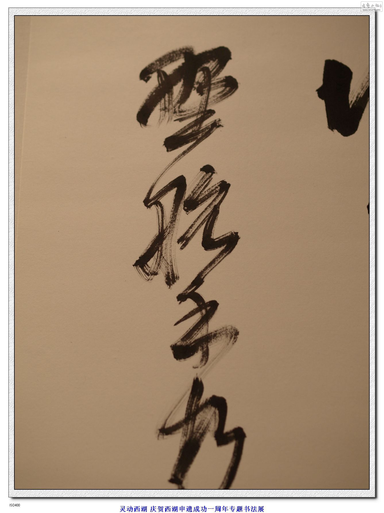 鶯鷨չ ¬Ⱥ鷨Ʒ (8).jpg