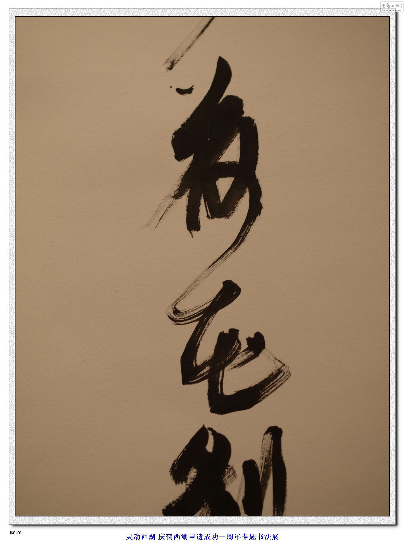 鶯鷨չ ¬Ⱥ鷨Ʒ (9).jpg
