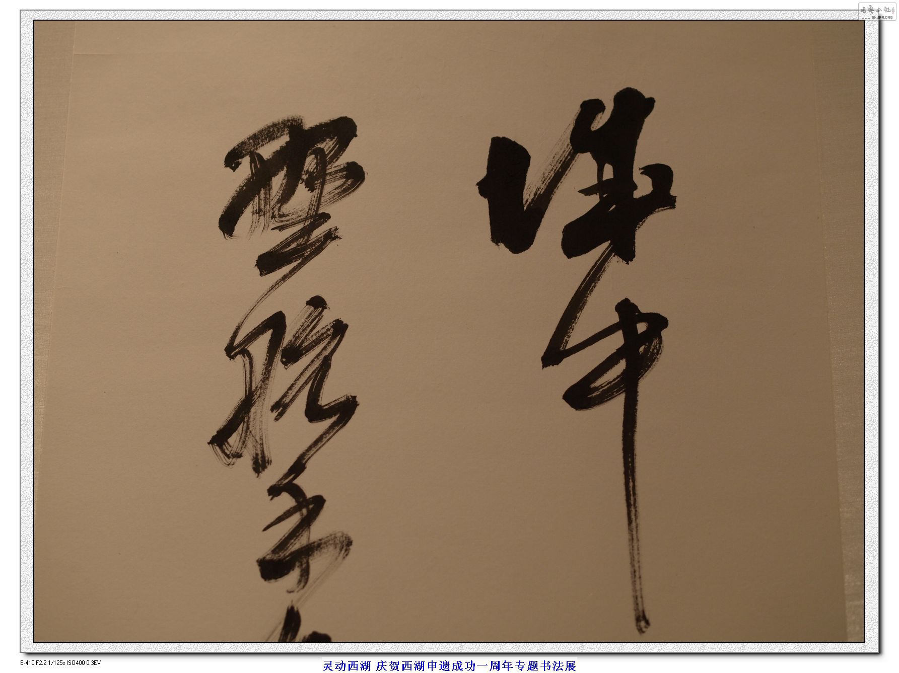 鶯鷨չ ¬Ⱥ鷨Ʒ (13).jpg