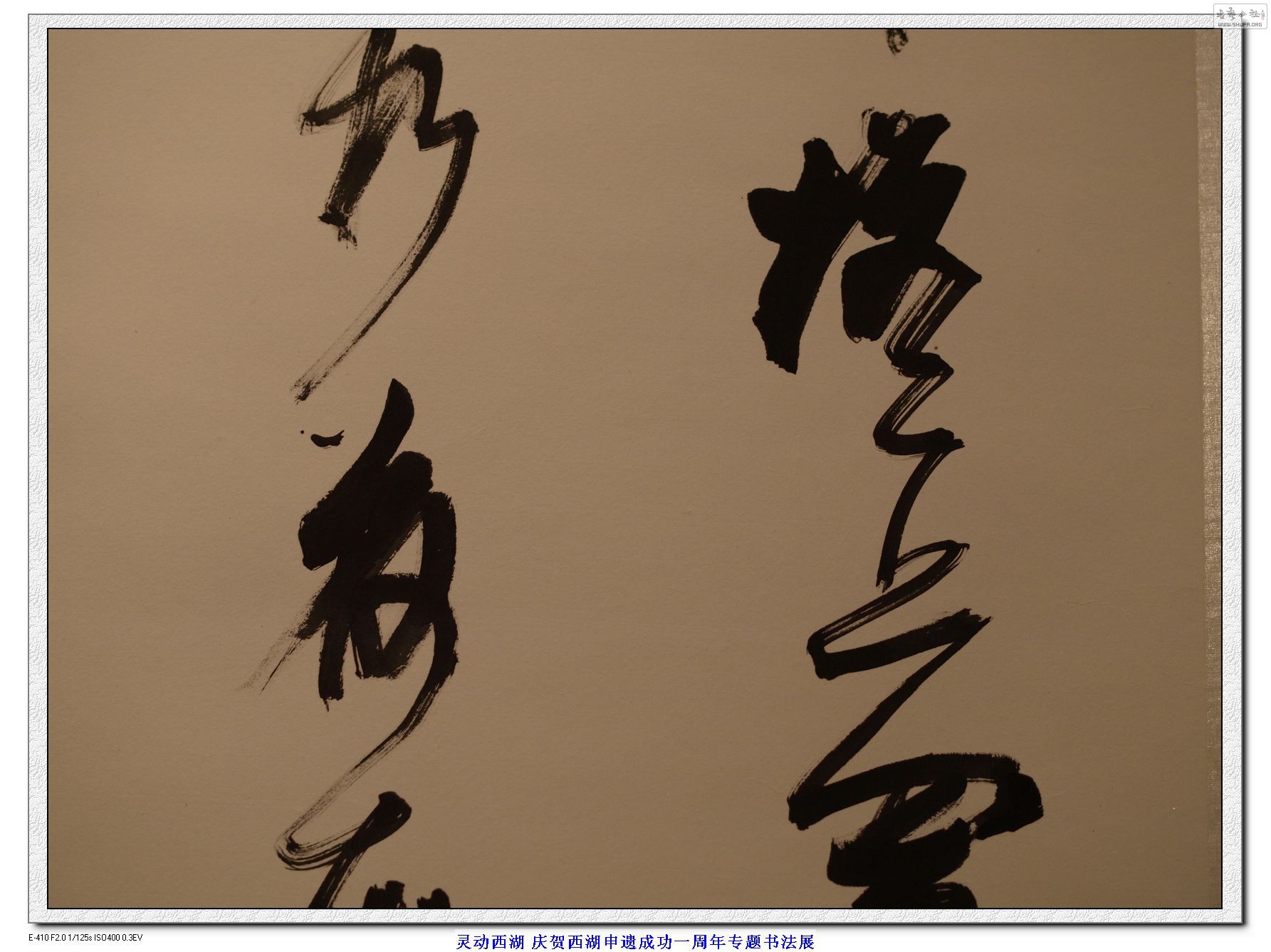 鶯鷨չ ¬Ⱥ鷨Ʒ (14).jpg