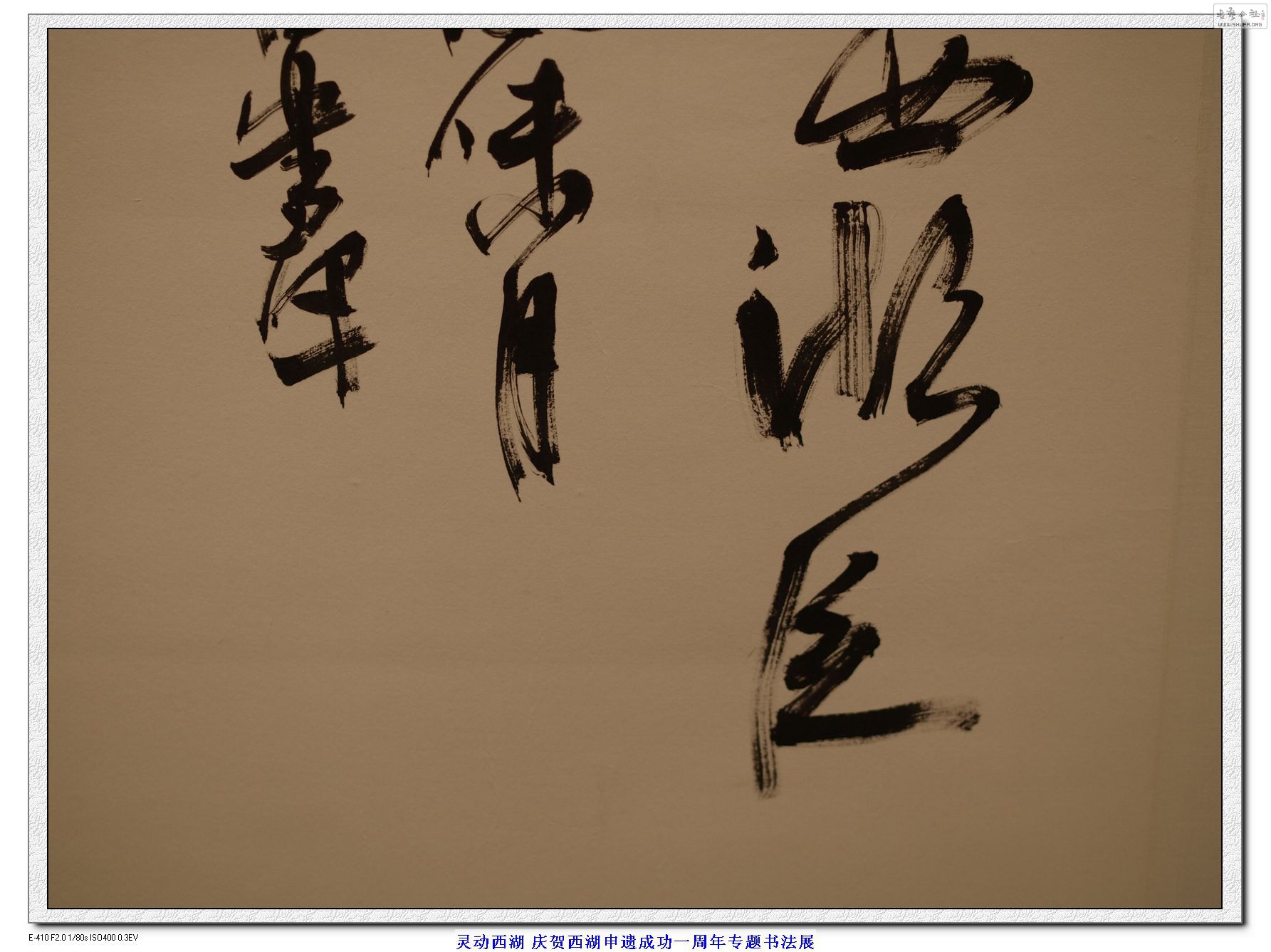 鶯鷨չ ¬Ⱥ鷨Ʒ (18).jpg