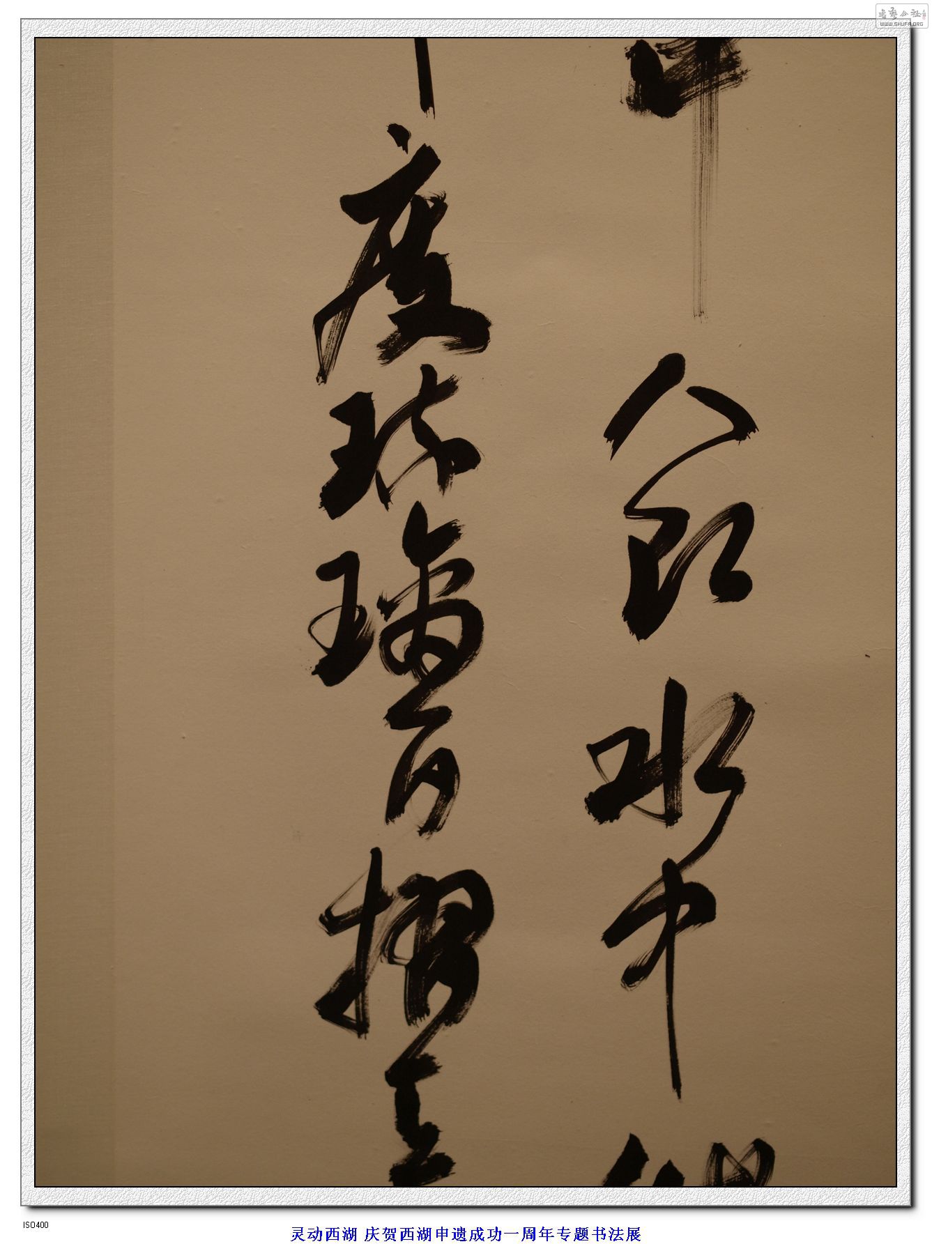 鶯鷨չ ¬Ⱥ鷨Ʒ (40).jpg