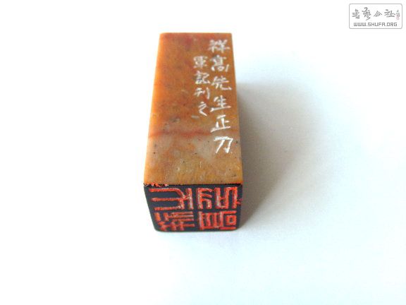 S73R0141.JPG
