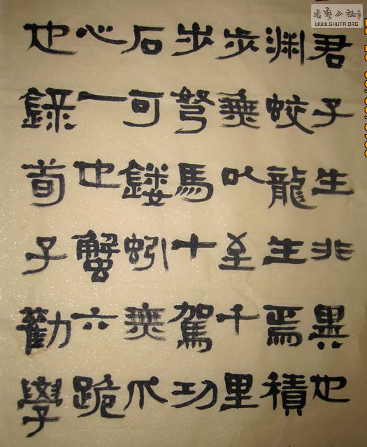 Ƭ 017.jpg
